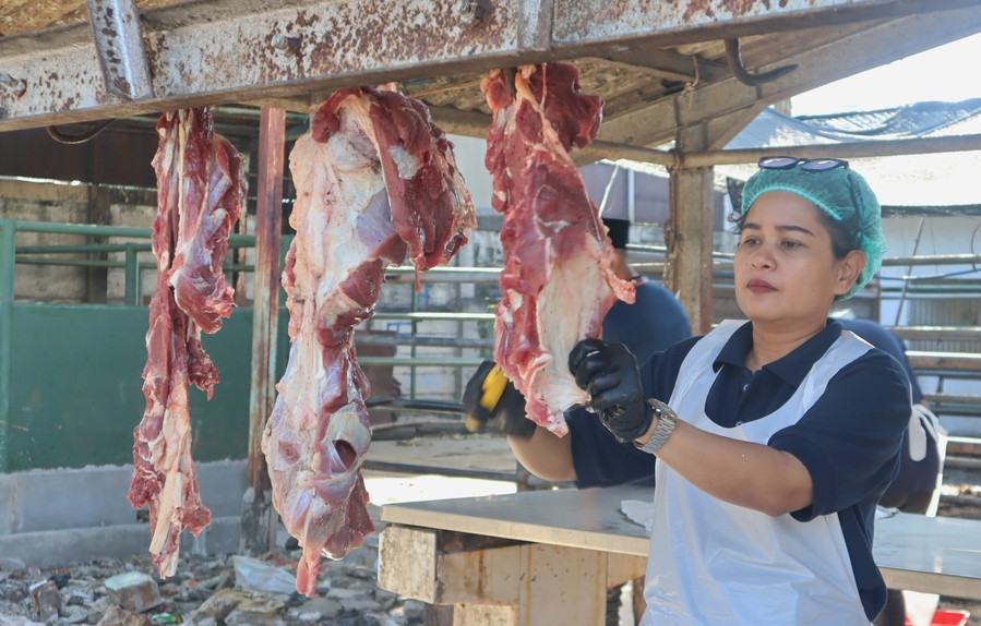 Kuota Terbatas, Pendaftaran Pemotongan Hewan Qurban RPH Surabaya Dibuka 20 April 2026