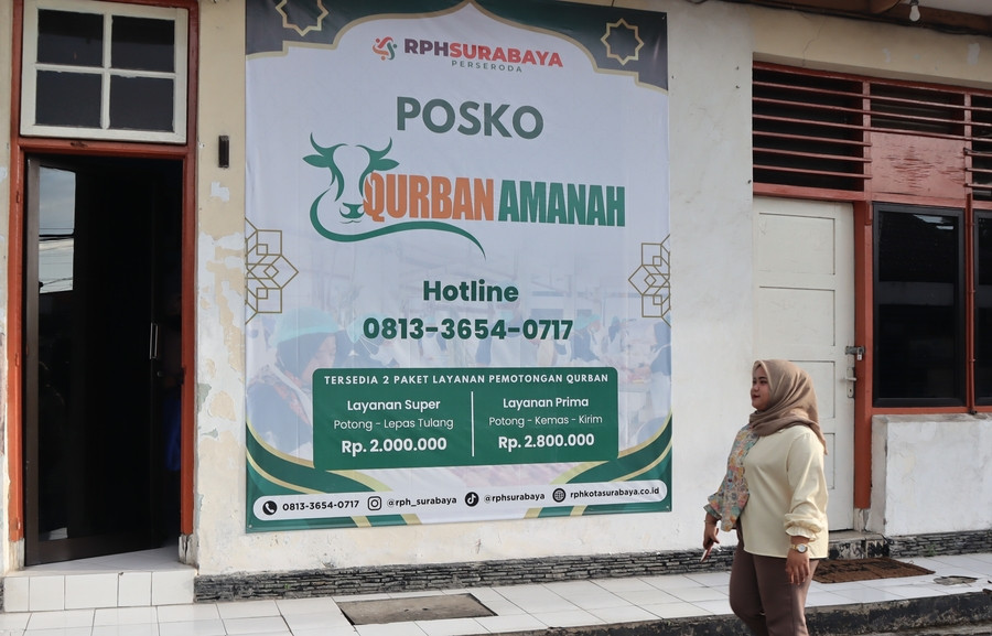 73 Ekor Sapi Terdaftar, Layanan Qurban RPH Surabaya 2026 Terus Bertambah