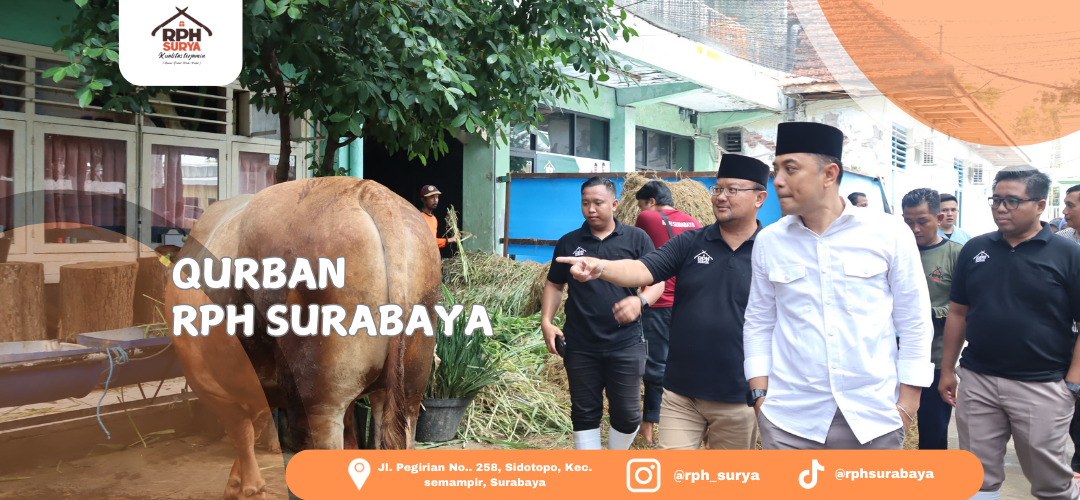 QURBAN_(1080_x_500_piksel)_(1).png